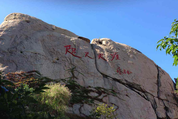 青島+嶗山+黃島西海岸+金沙灘+橋隧東西海岸線純玩2日游